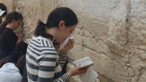 娱乐圈吃瓜蛙,揭秘“吃瓜蛙”背后的八卦真相