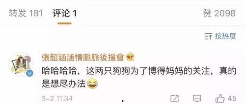 娱乐圈吃瓜账号是什么